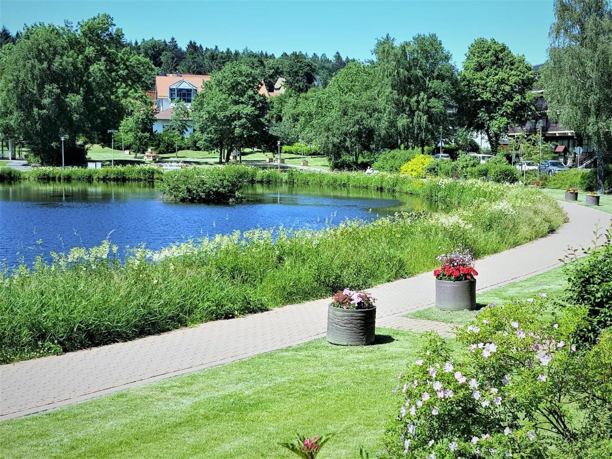 Grossdorf Ferienwohnung Waldsuite im Harz Goslar Exterior foto