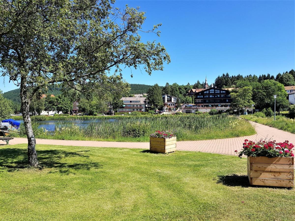 Grossdorf Ferienwohnung Waldsuite im Harz Goslar Exterior foto