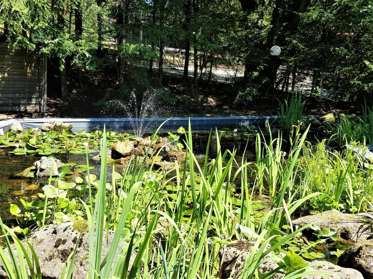 Grossdorf Ferienwohnung Waldsuite im Harz Goslar Exterior foto